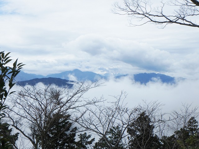 雨の中で桜咲く高尾山を登ってきました(^_^)