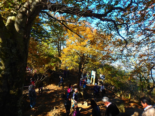 １１月の紅葉の筑波山　白雲橋コースを登ってきました♪