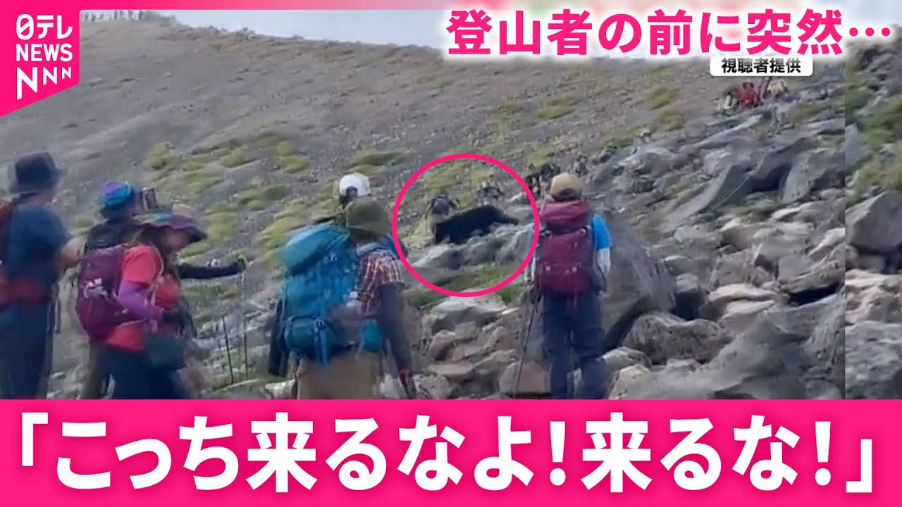 【クマ】登山者らの前に突然… 相次ぐ熊の出没 山でも街でも広がる不安 　長野　NNNセレクション