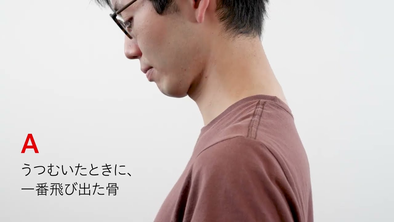 背面長の計測方法