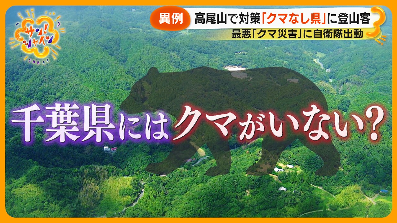 【取材】「千葉県にはクマがいない」その真相は？登山スポット鋸山は今… 自衛隊も出動 過去最悪のクマ被害【サン！シャインニュース】