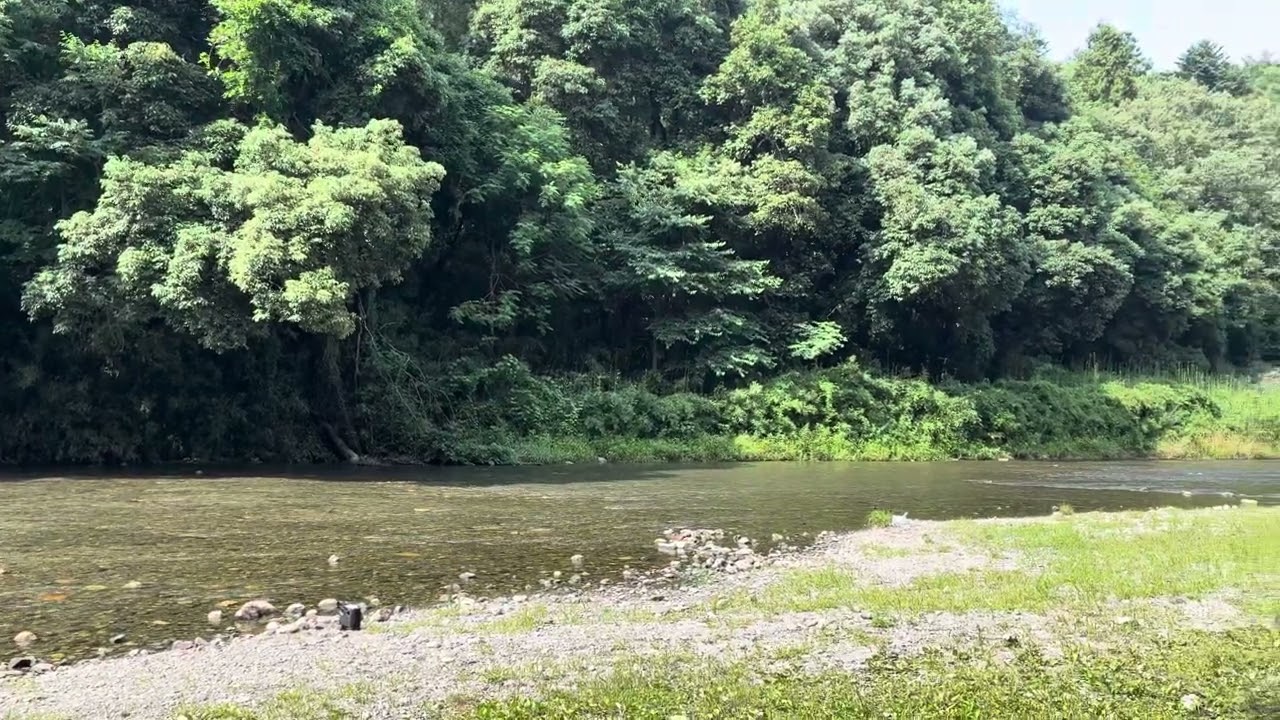 嵐山渓谷バーベキュー場　6月末