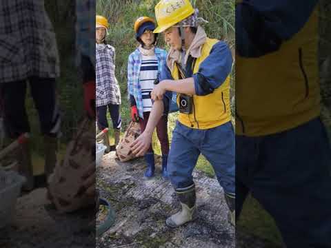 絶対知っておいてほしい「山で熊に遭遇した時の対処法」日本熊森協会