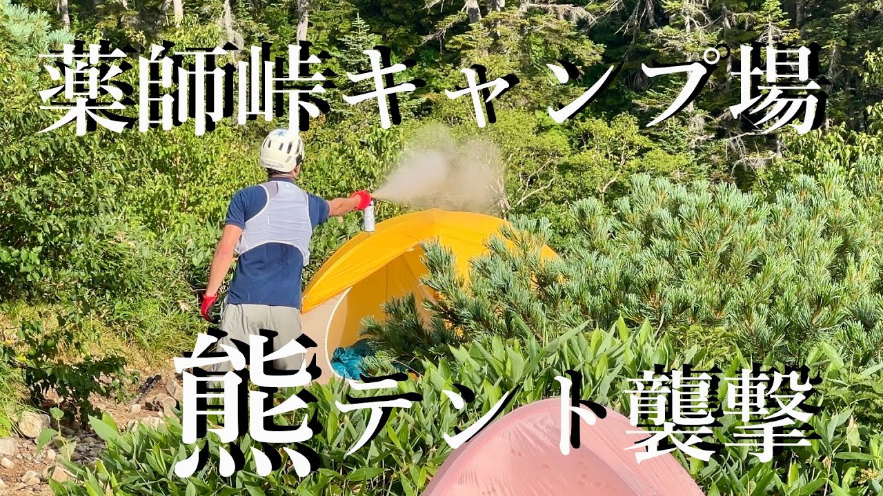 【薬師峠キャンプ場】8月19日熊が、テント場に現れ、食料を強奪しました。そのため、当分の間、キャンプ場は閉鎖してます