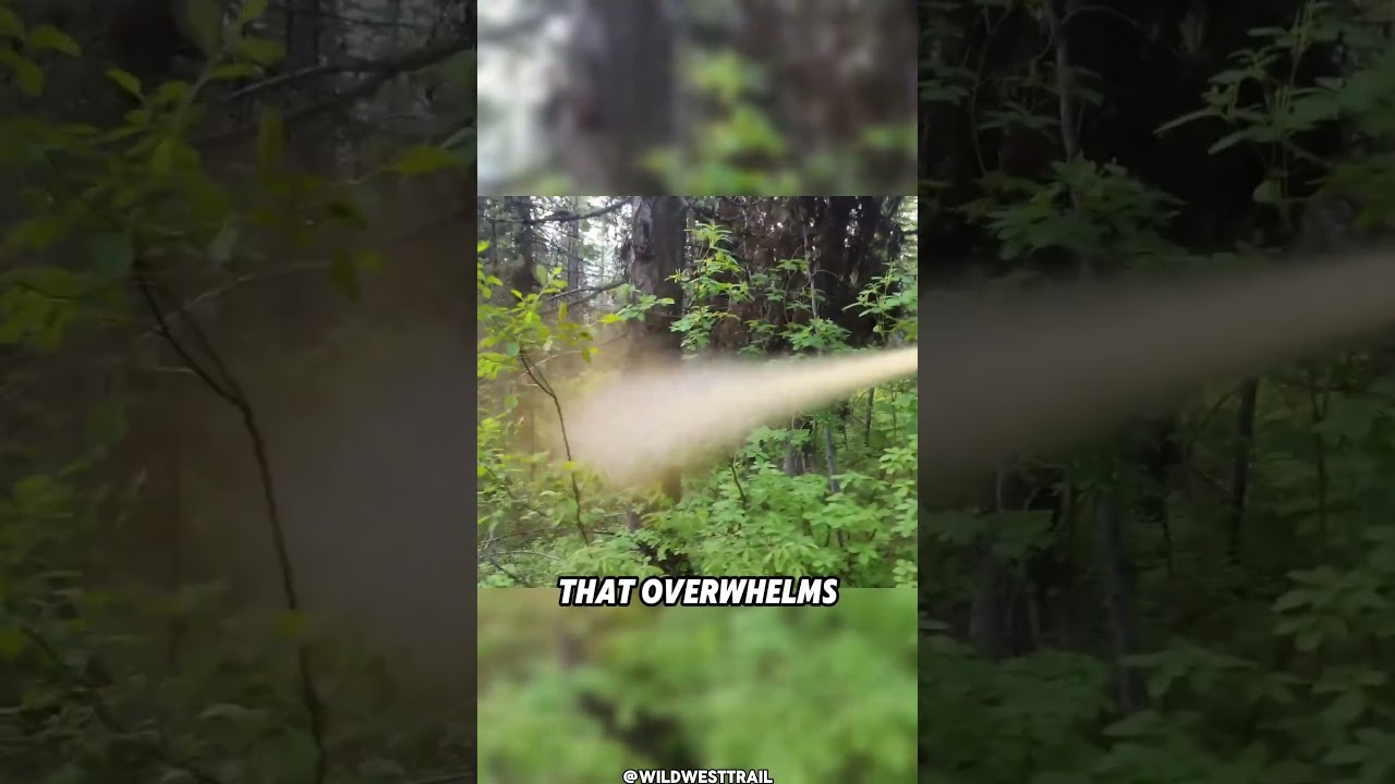 Does Bear Spray Actually Work?