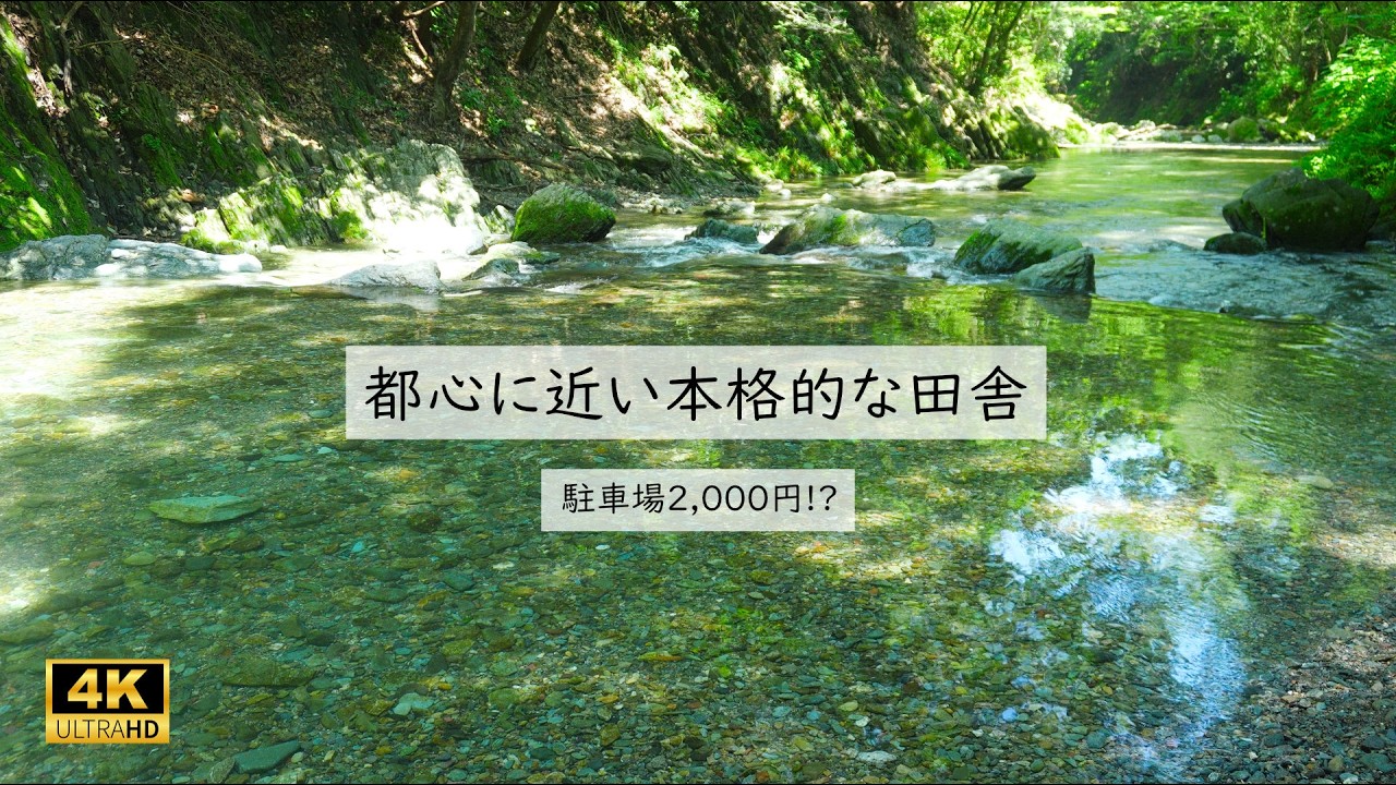 【自然界隈】池袋から1時間半の本格的な田舎🌿埼玉の秘境💧三波渓谷と弓立山大展望ハイキング【4K/ASMR】