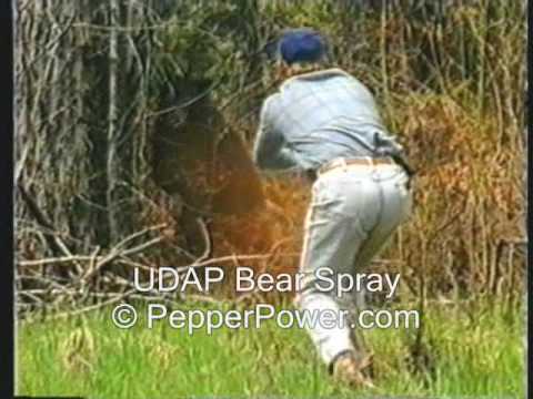 Bear Sprayed with UDAP Pepper Power Bear Deterrent