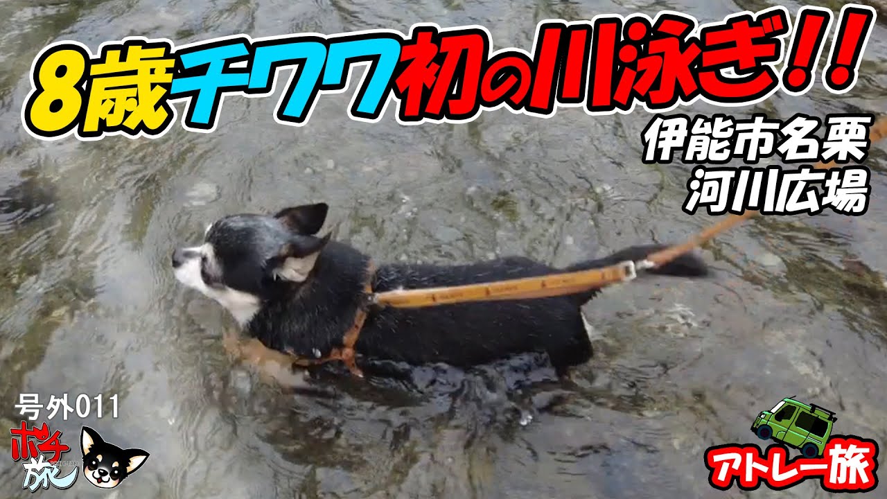 【号外】超小型犬でも安心の川遊び場へ！河川広場でBBQ！/埼玉県飯能市名栗