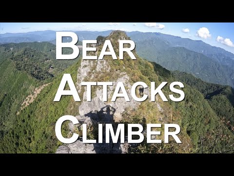 【埼玉秩父】Bear attacks climber / 登山中に熊に襲われた
