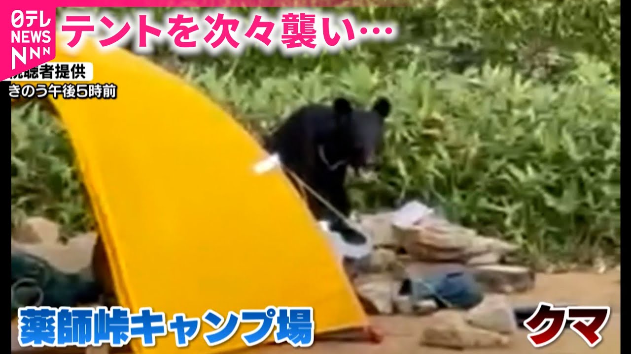 【クマ】テントの食料を次々と… キャンプ場でも熊被害 注意点は　富山　NNNセレクション