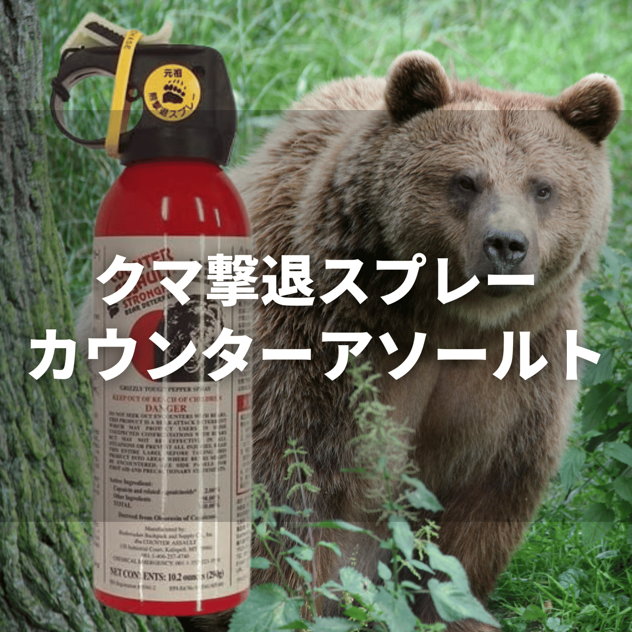 クマ撃退スプレー『カウンターアソールトCA230/CA290』の実力は？特徴・使い方・注意点を解説！