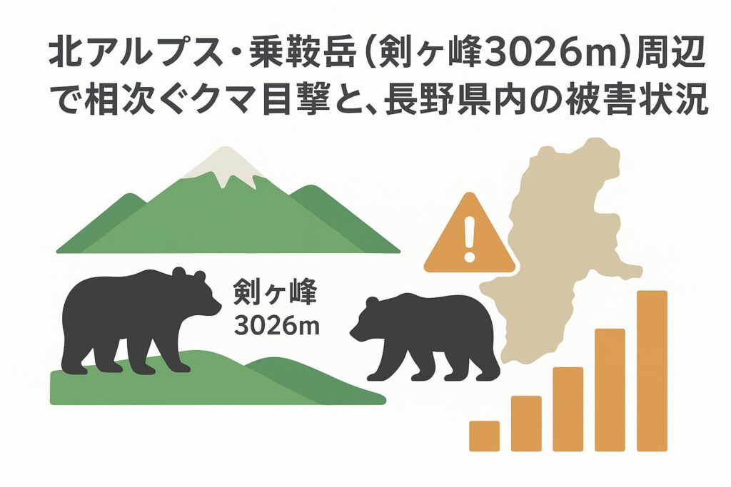 alp norikura bear 2025 08 09 safety 【2025年】熊に遭遇した時の対処法｜日本熊森協会と熊博士の解説動画を紹介