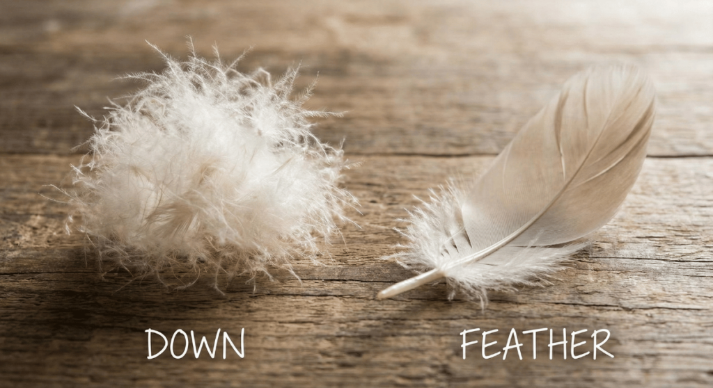 【春秋・残雪期】ナンガUDDバッグ630DXの実力は?特徴・注意点を徹底解説レビュー 21 ダウンとフェザー